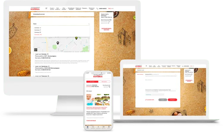 Kopiika loyalty program software results