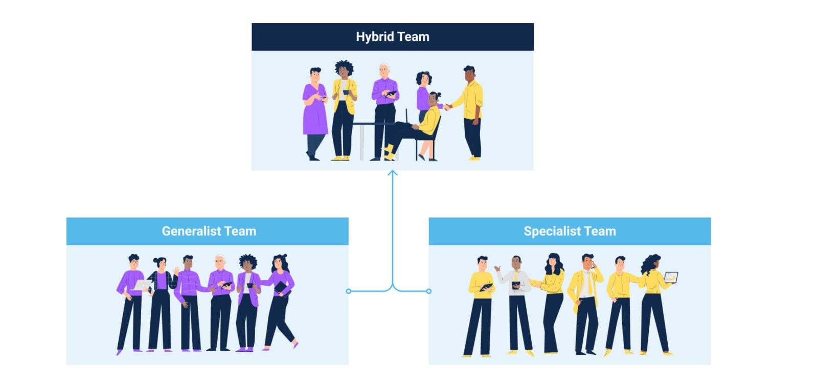 Software Development Team Types